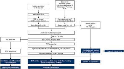 Plasma cell-free RNA profiling of Vietnamese Alzheimer's patients reveals a linkage with chronic inflammation and apoptosis: a pilot study